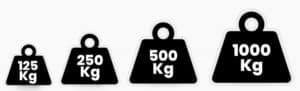 paranchi elettrici 125 to 1000 kg